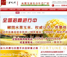 營銷型網(wǎng)站建設